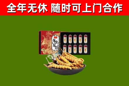 高昌区回收冬虫夏草价格